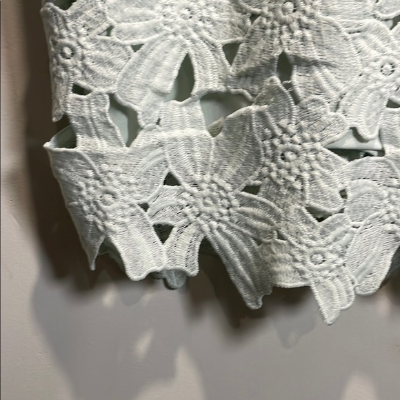 Astr Women's Mini Dress in Mint Flower Lace - Picture 5 of 8